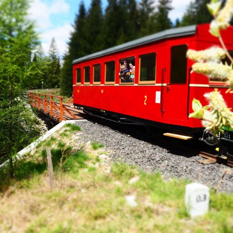 16 Rodinka na návšteve železničky