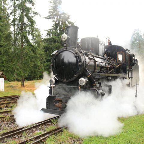 1 Povazska lesna zeleznica