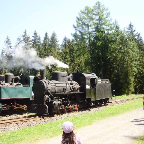 4 Povazska lesna zeleznica